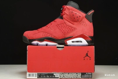 CT8529-600 Bravo” 6 Jordan “Toro 0819